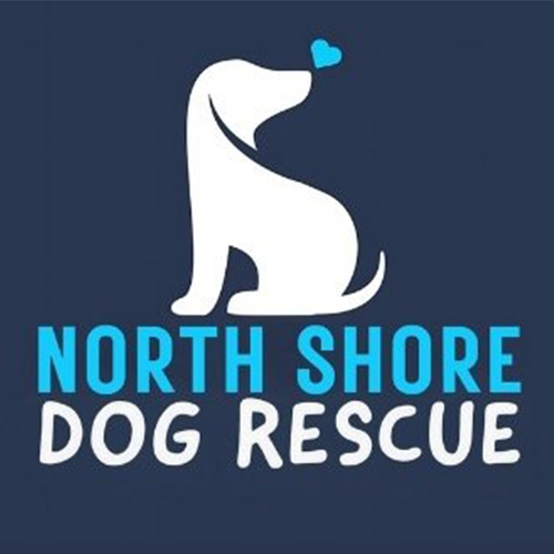 Vets on Falcon - North Shore Dog Rescue