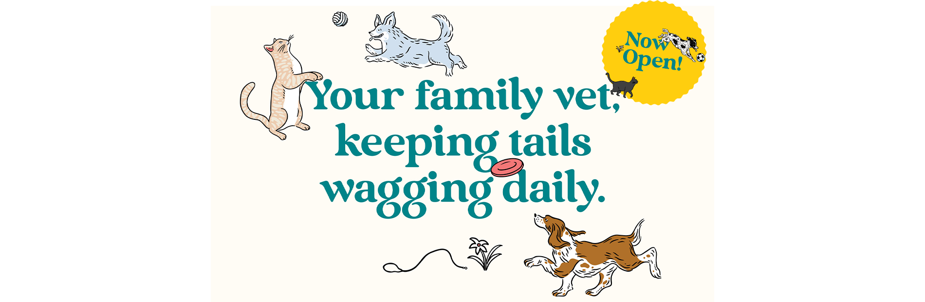 Vets on Falcon - Your family vet in Crows Nest