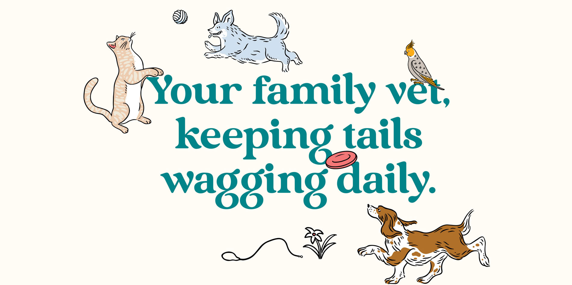Vets on Falcon - Your family vet in Crows Nest