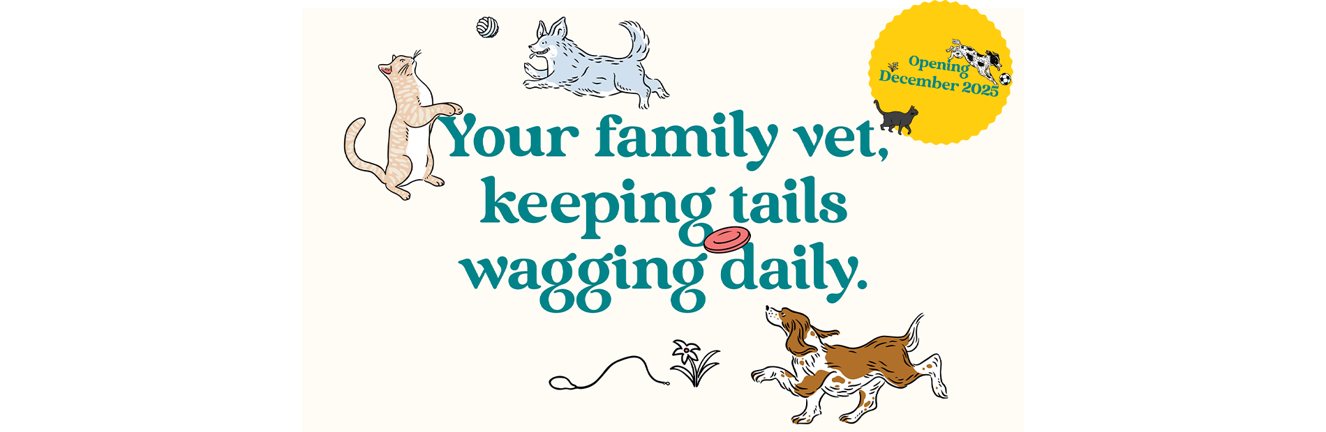 Vets on Falcon - Your family vet