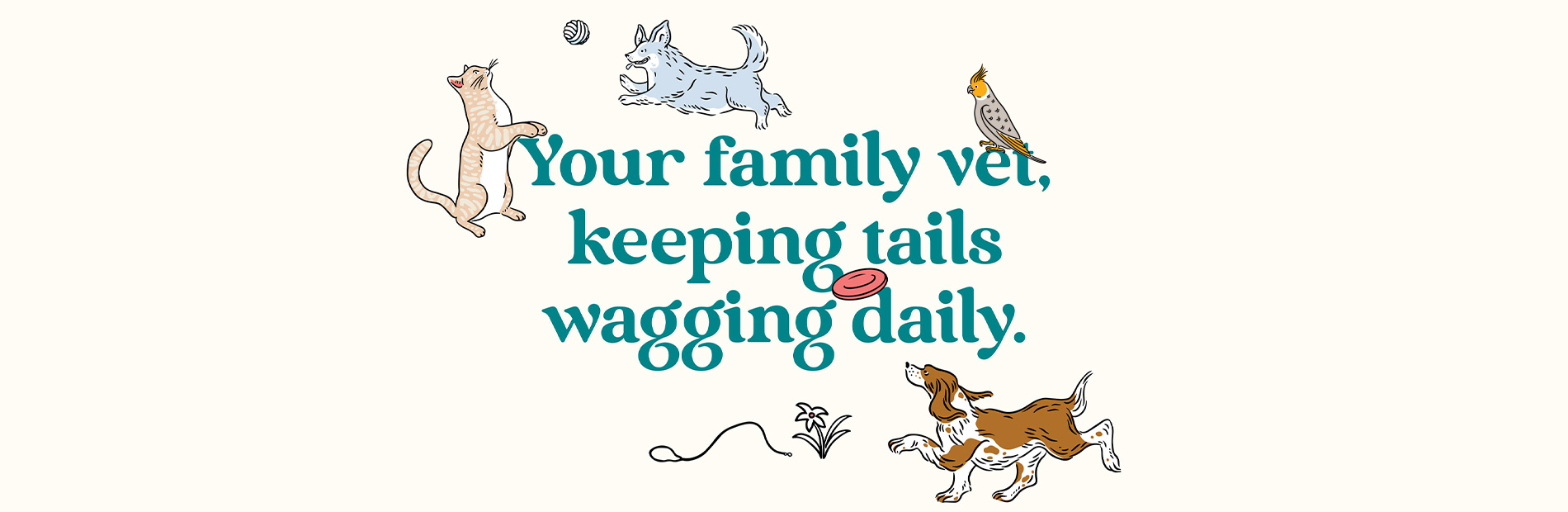 Vets on Falcon - Your family vet in Crows Nest