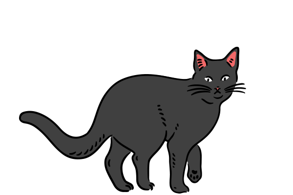 Vets on Falcon - Preventative Care - Annual Health Checks