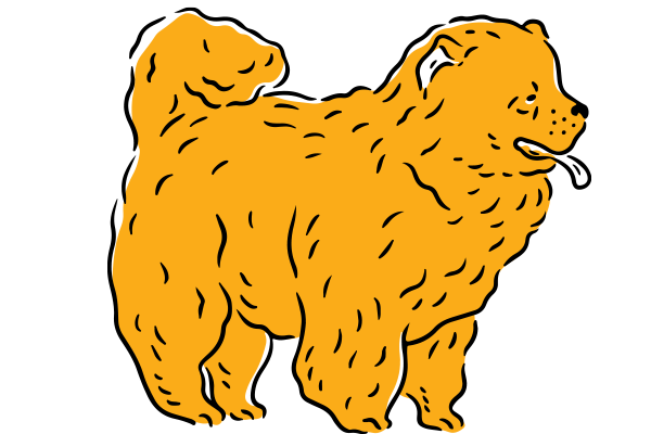 Vets on Falcon - Pet Medicine - Eyes