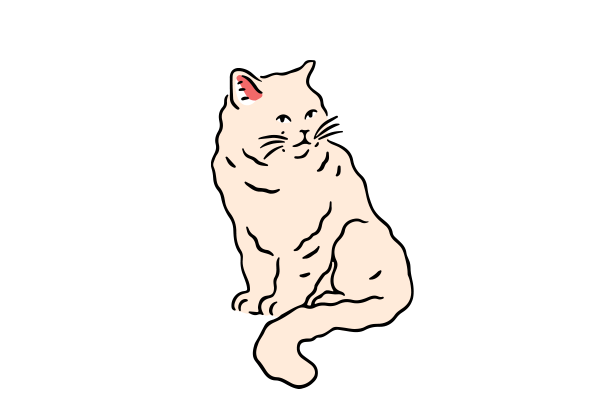 Vets on Falcon - Preventative Care - Senior Pets