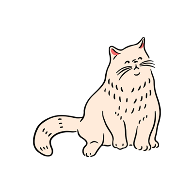 Vets on Falcon - Pet Surgery - Desexing