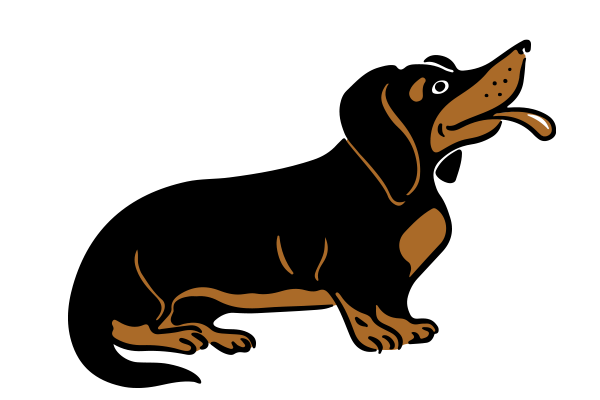 Vets on Falcon - Our Values -  Connection