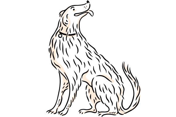 Vets on Falcon - Preventative Care - Weight Management