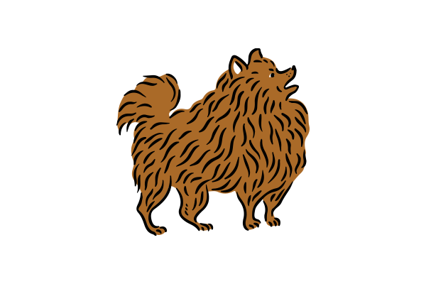 Vets on Falcon - Pet Diagnostic - Pathology