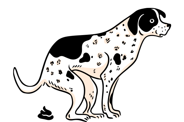 Vets on Falcon - Pet Medicine - Pet Behaviour