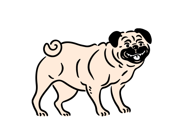 Vets on Falcon - Preventative Care - Parasite Control