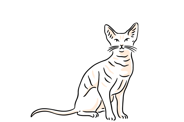 Vets on Falcon - Pet Diagnostic - Pathology