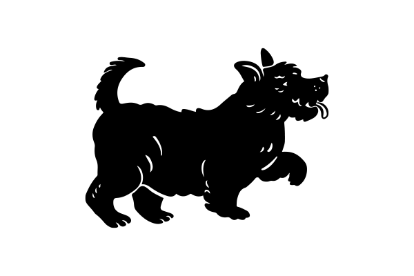 Vets on Falcon - Pet Medicine - Kidney Disease