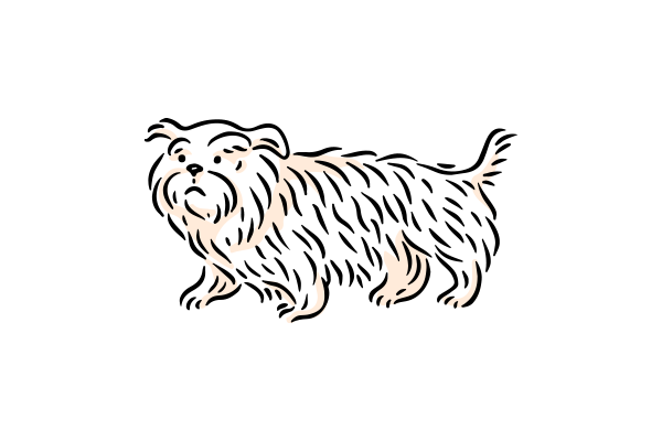 Vets on Falcon - Pet Medicine - Palliative Care