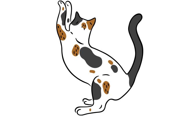 Vets on Falcon - Our Values -  Integrity