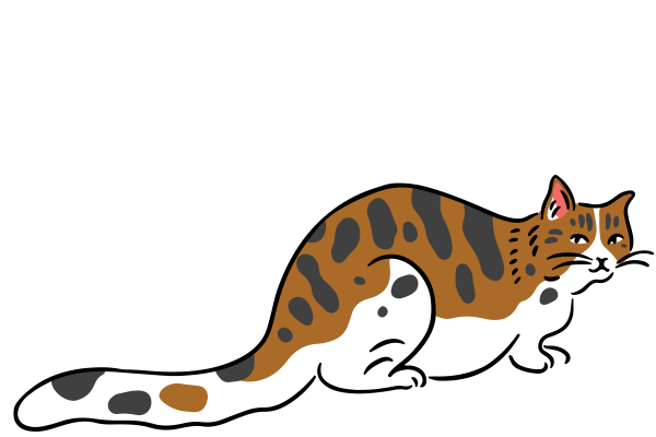 Vets on Falcon - Pet Diagnostic - Pathology