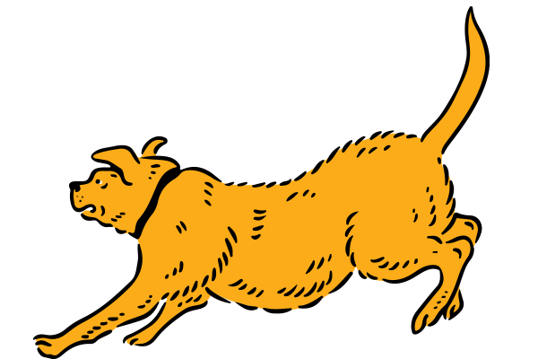 Vets on Falcon - Preventative Care - Vaccinations