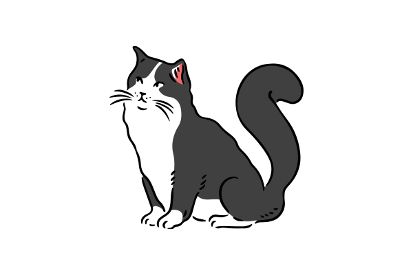 Vets on Falcon - Vet Services - House Calls