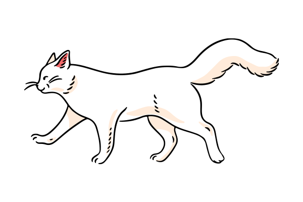 Vets on Falcon - Pet Medicine - Ears